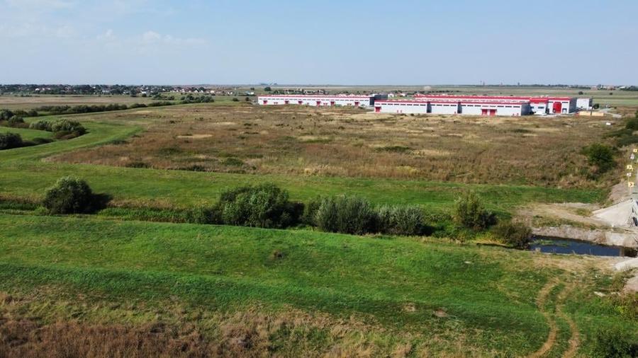 Teren Construcții intravilan de 4510 mp, în Sânandrei