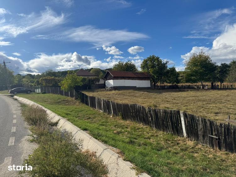 Casă cu 5 camere cu Teren 11000 Mp în Alimpești