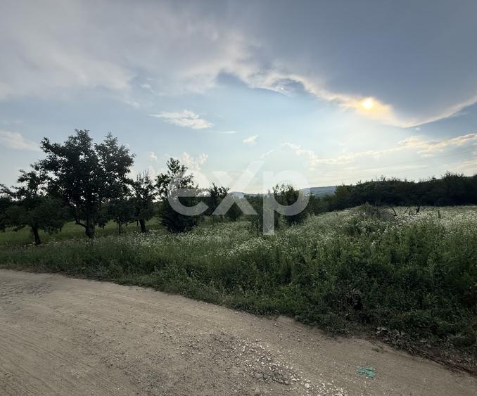 Teren de vânzare în Topoloveni | Zonă liniștită, aproape de oraș - 3