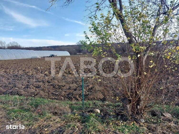 Teren de 1687 mp, în Central