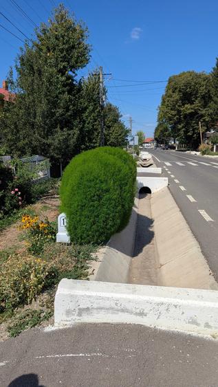 Casă cu 4 camere în Icușești