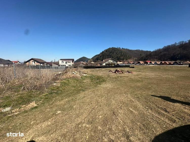 Teren Intravilan cu PUZ intrare Glejerie Rasnov - 5