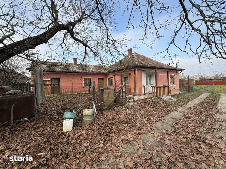 Casa de vanzare in Diosig curte generoasa + anexe 20 ari - 8