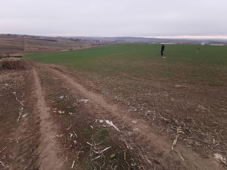 Teren agricol intravilan în Periferie