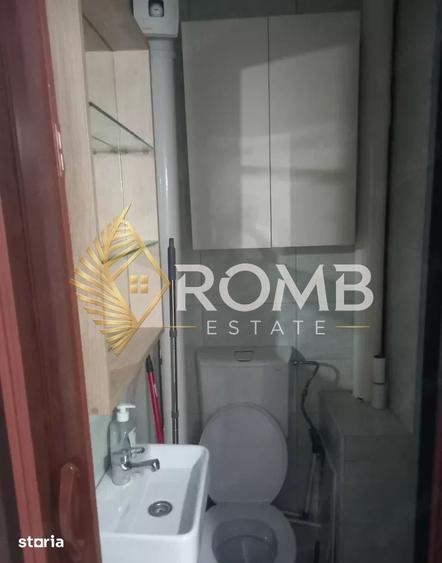 Apartament 1 camera , Ghergheni , Strada Albac , 350 Euro - 7