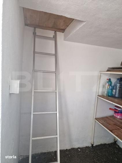 Casă cu 2 camere cu Teren 1000 Mp în Viișoara