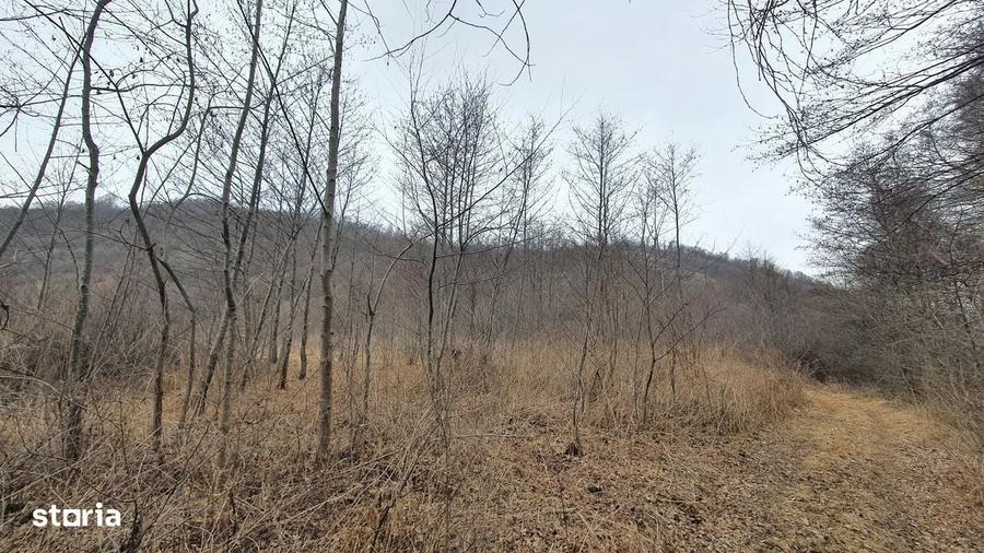 Teren de 2800 mp, în Sovata