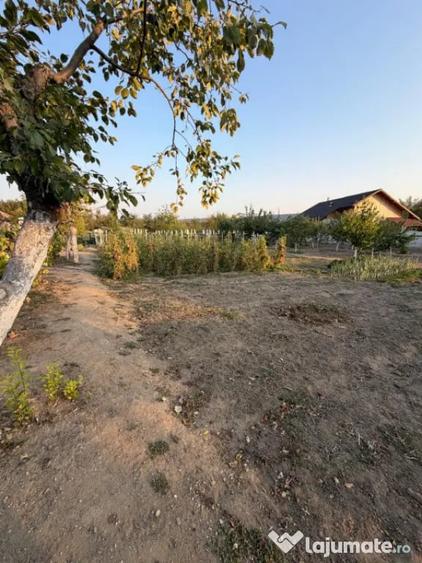 Casă cu 3 camere cu Teren 2330 Mp în Central