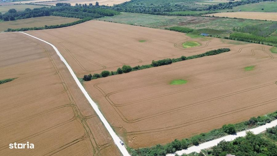 Ciolpani-Ilfov, Teren intravilan-20 ha - 2