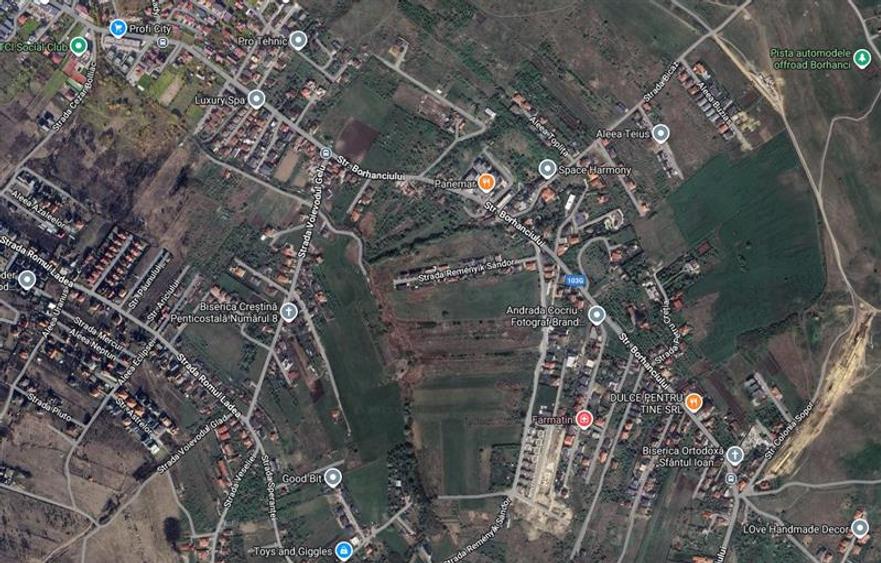 Teren intravilan de 8245 mp, în Borhanci