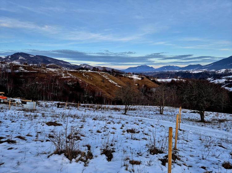 Teren agricol extravilan de 4008 mp, în Peștera