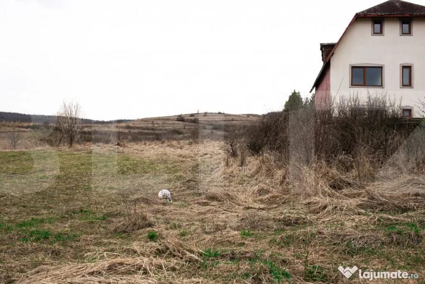 Teren în Borhanci