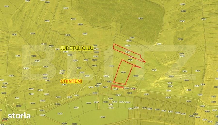 EXCLUSIVITATE - teren extravilan, 23 000 mp, Feiurdeni - 2