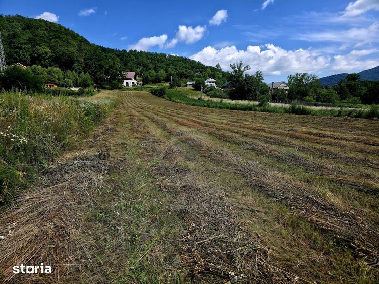 Teren de 600 mp, în Alexandru cel Bun