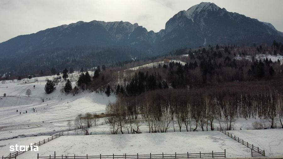 Teren de 2400 mp, în Plaiul Foii