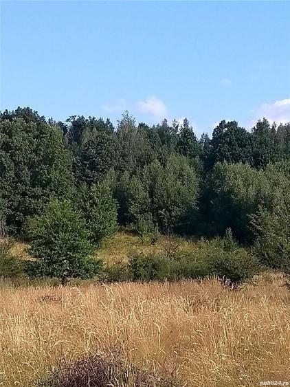 Teren de 8600 mp, în Baia de Fier