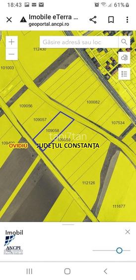 Terenuri inchiriere in intravilan Ovidiu