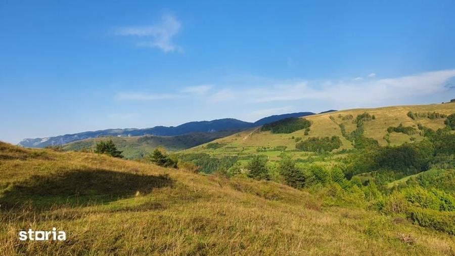 Teren de 13203 mp, în Sălciua