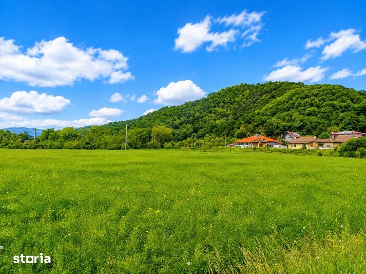 Teren de 2800 mp, în Turnu Roșu