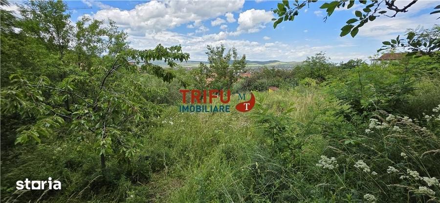 Teren de vanzare in Valea Popii cu toate utilitatile - 1