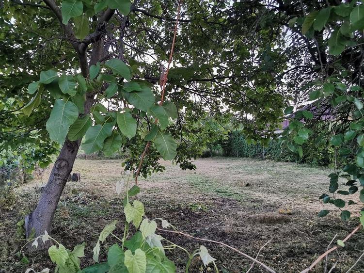 Teren de 664 mp, în Boldești