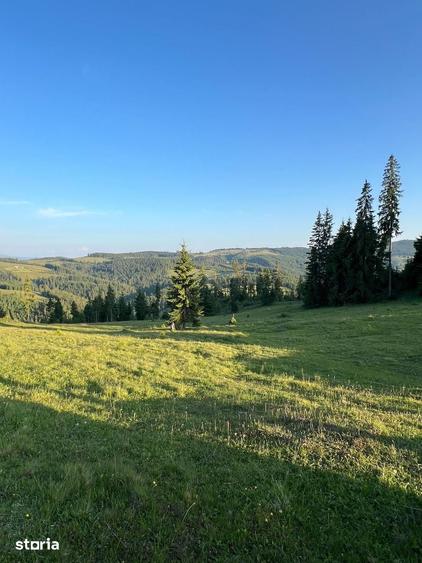 Teren de 500000 mp, în Ciocănești