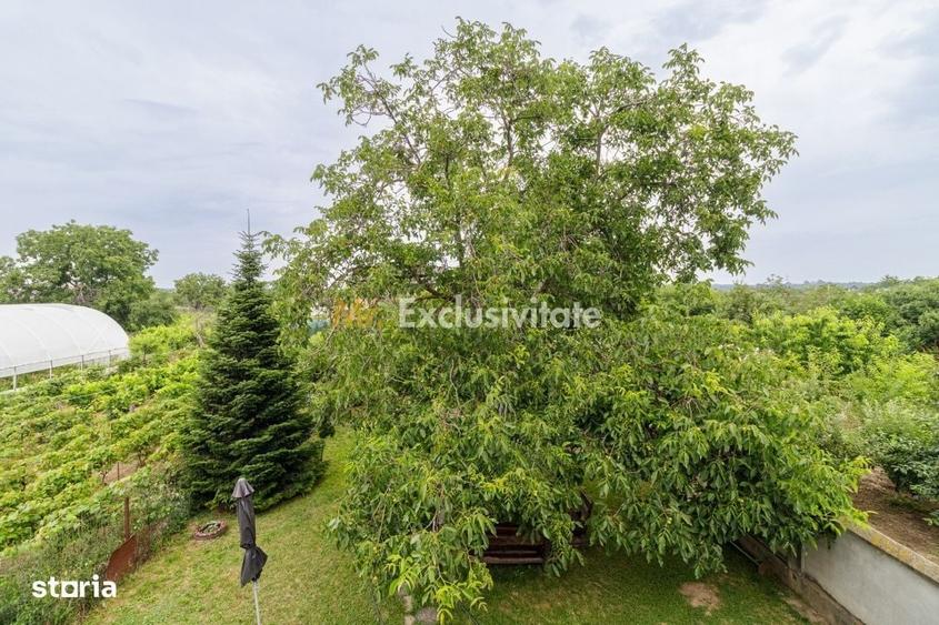 Casă cu 4 camere în Cornetu