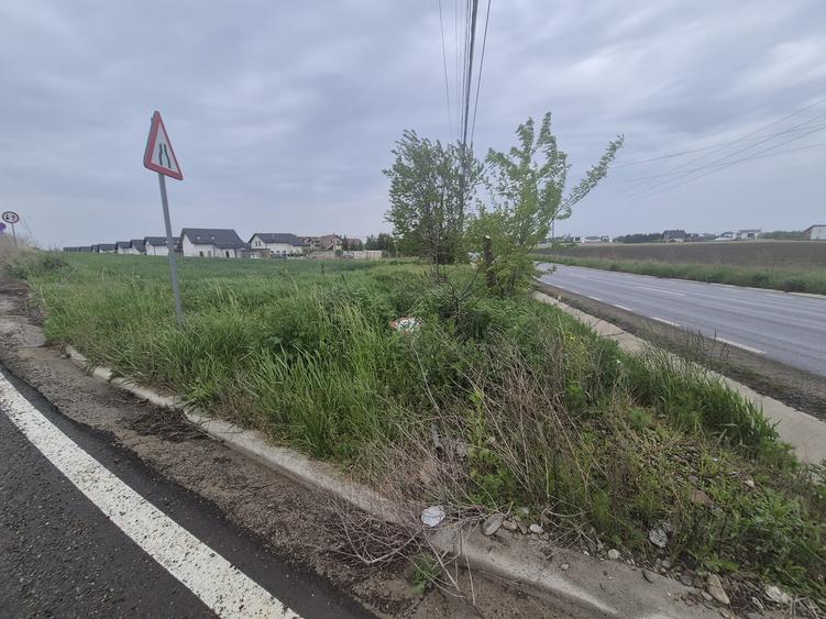 Teren Construcții intravilan de 2600 mp, în Moara