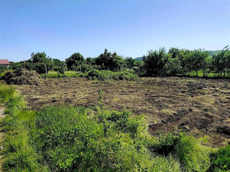 Teren Construcții intravilan de 500 mp, în Ciurea