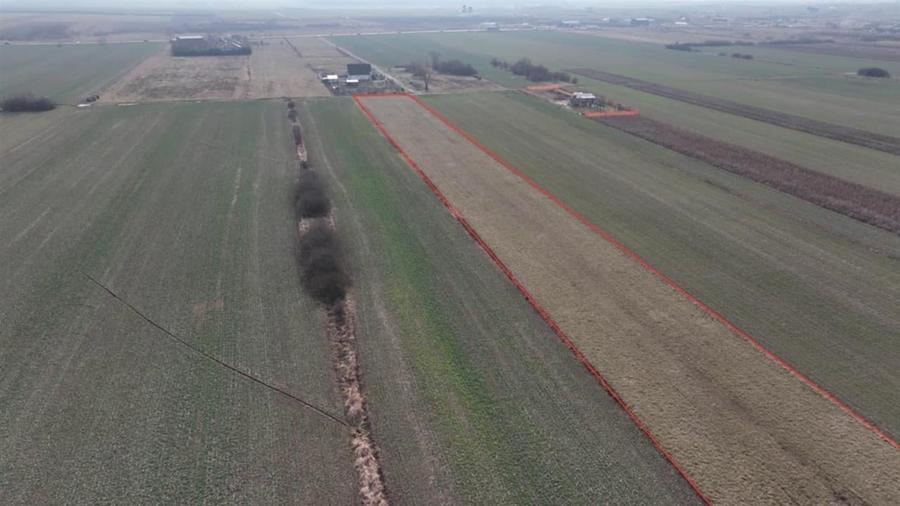 Teren Construcții intravilan de 6590 mp, în Oșorhei