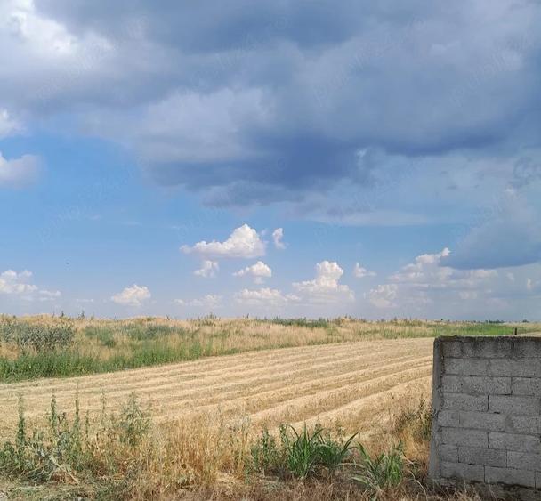 Teren de 3690 mp, în Poiana Mare