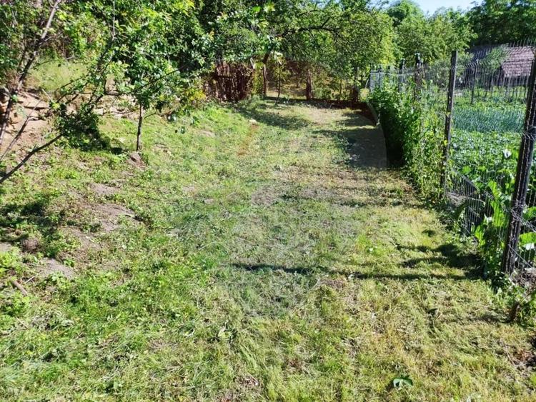 Casă cu Teren 2140 Mp în Delenii
