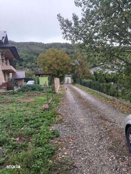 Teren de 2400 mp, în Vâlcea