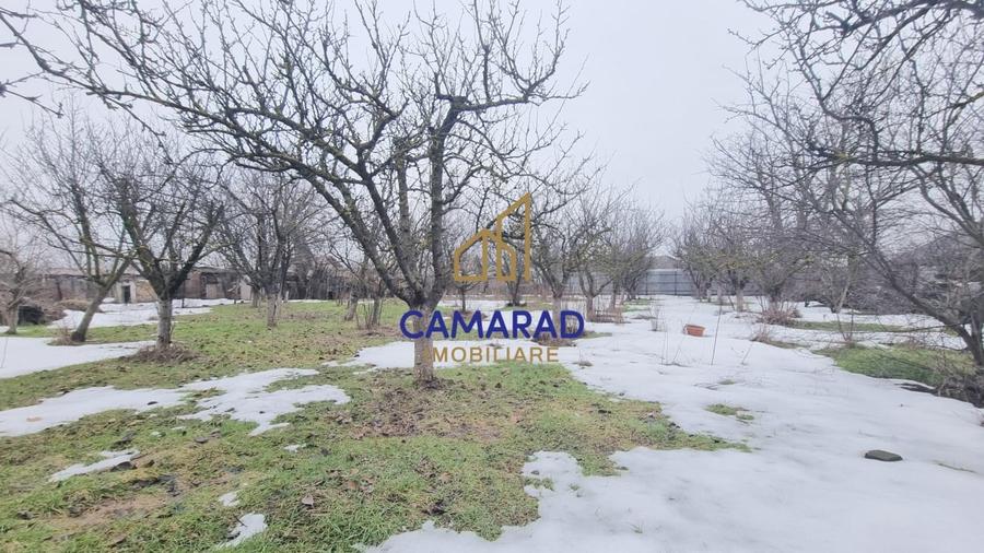Casă individuală cu 3 camere cu Teren 1450 Mp în Tămădău Mare
