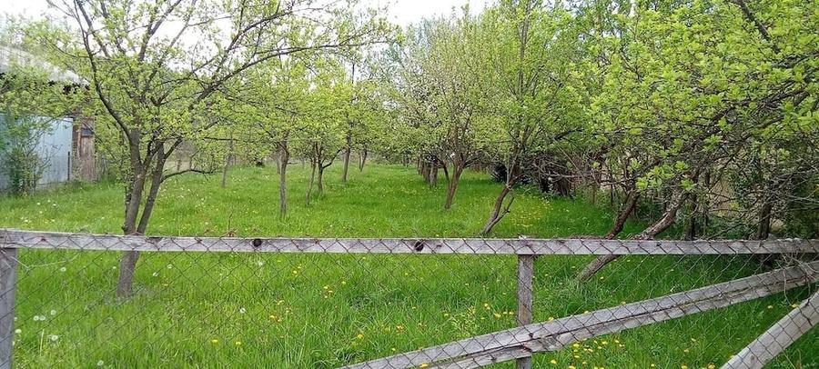 Vand teren intravilan - 3