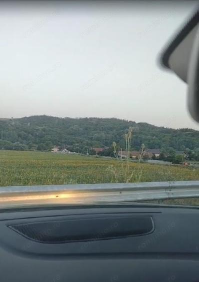 Teren de 500000 mp, în Borăscu