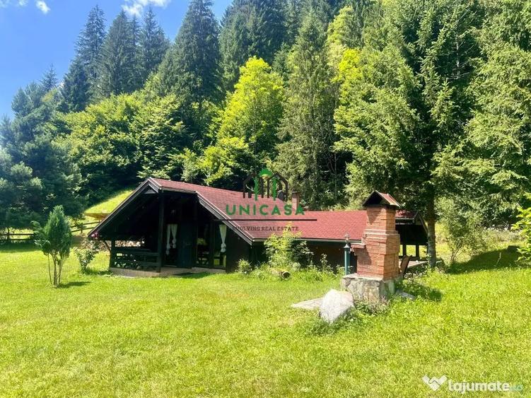 Casă cu 7 camere cu Teren 2560 Mp în Voineșița