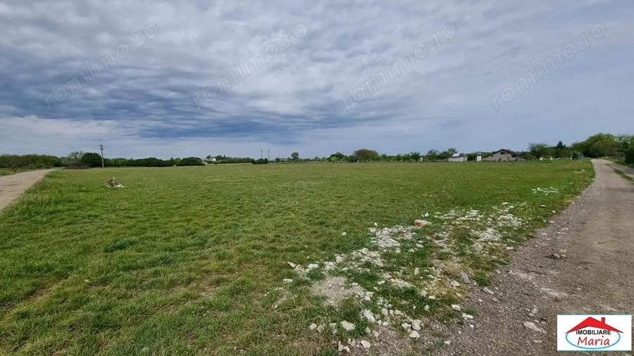 Teren de 5000 mp, în Careiului