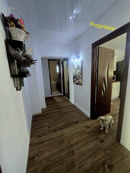 Apartament cu 3 camere decomandat în Carrefour