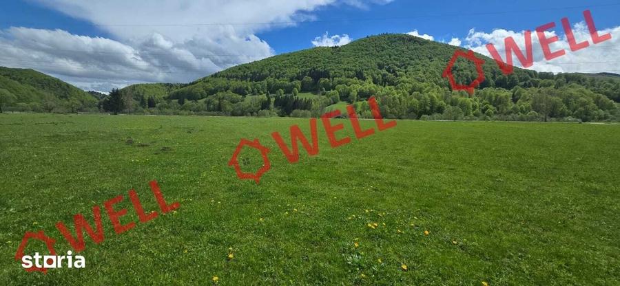 Teren de 5310 mp, în Vama Buzăului