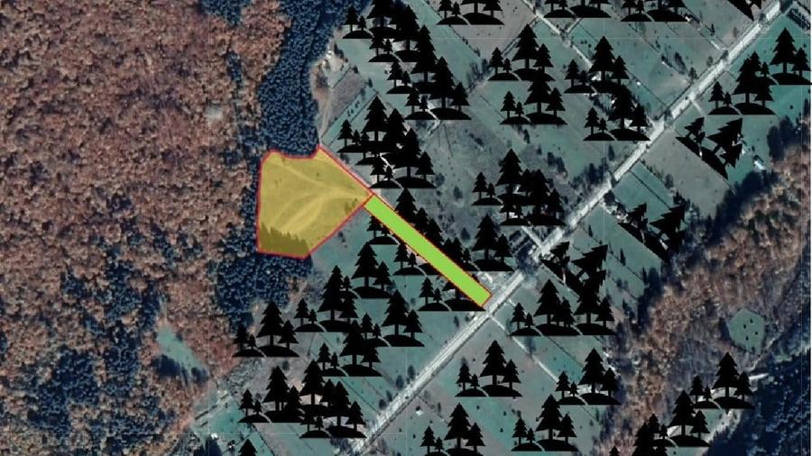 Teren intravilan de 10200 mp, în Valea Doftanei