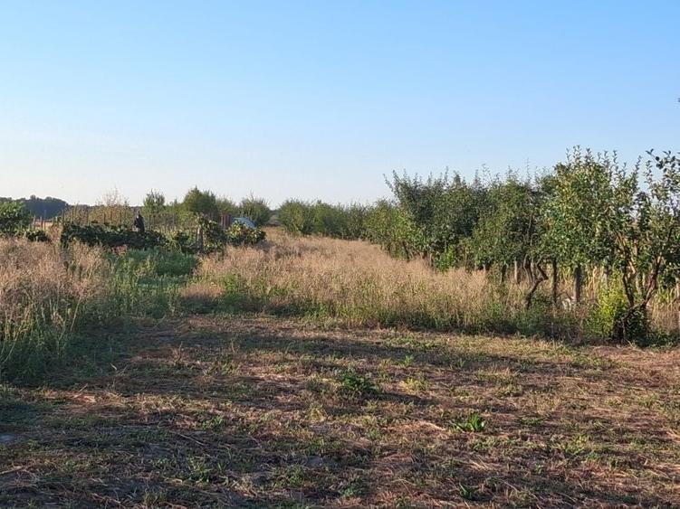 Casă cu 2 camere în Central