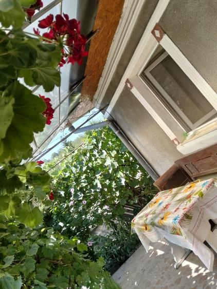 Casă individuală cu 2 camere cu Teren 1400 Mp în Borșa
