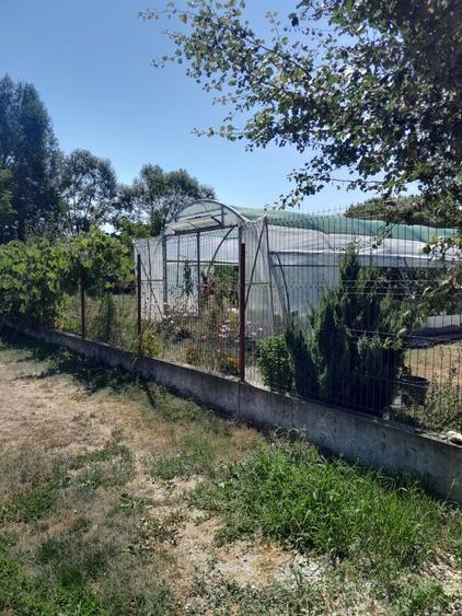 Teren de 1000 mp, în Sadu