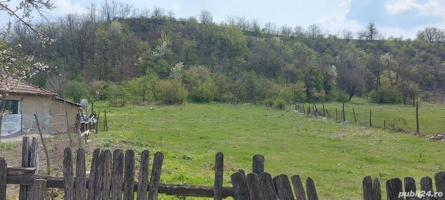 Teren de 3100 mp, în Axintele