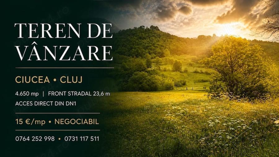 Teren de 4650 mp, în Ciucea