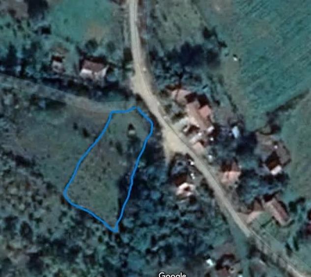 Teren de 1591 mp, în Nicula