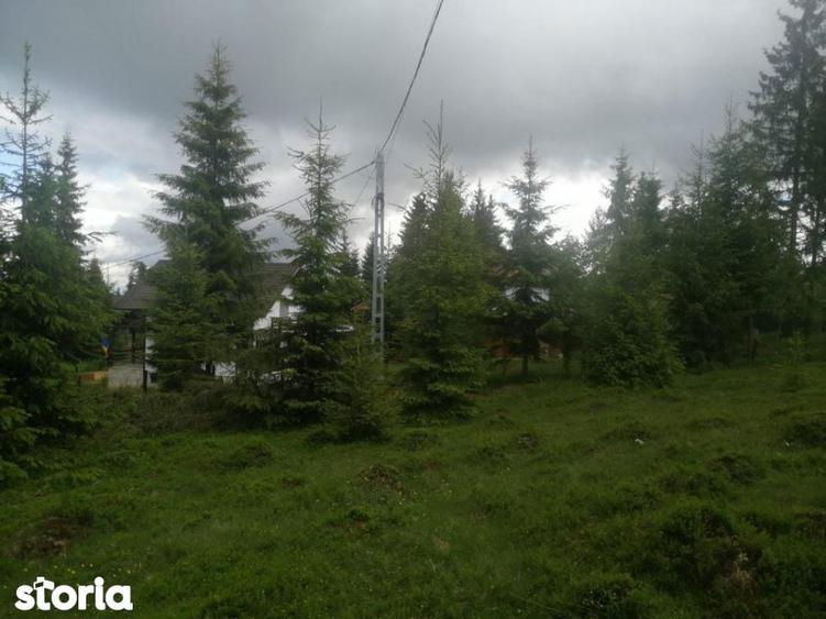 Teren de 1300 mp, în Beliș