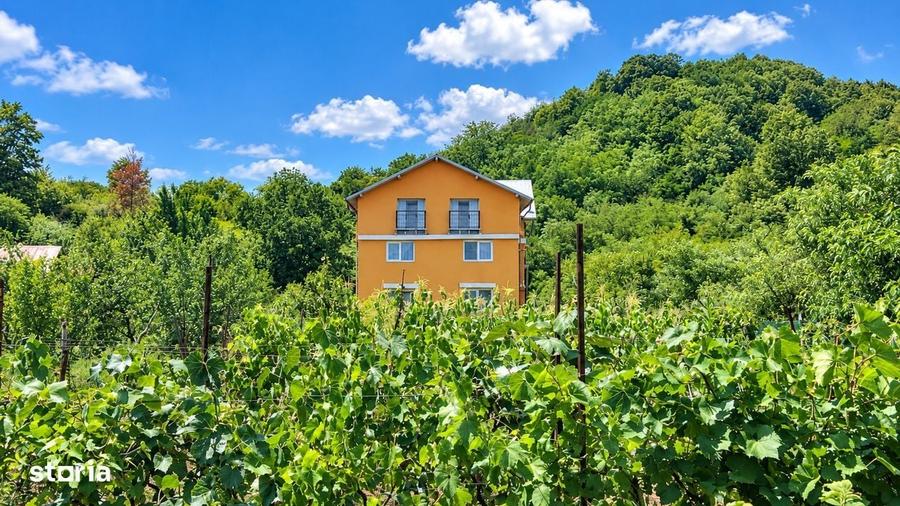 Casă cu 4 camere în Filipeștii de Pădure