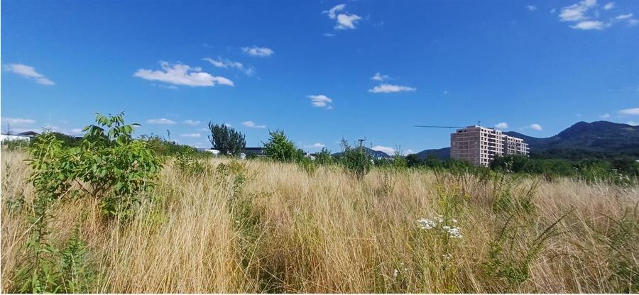 Teren Construcții intravilan de 500 mp, în Noua